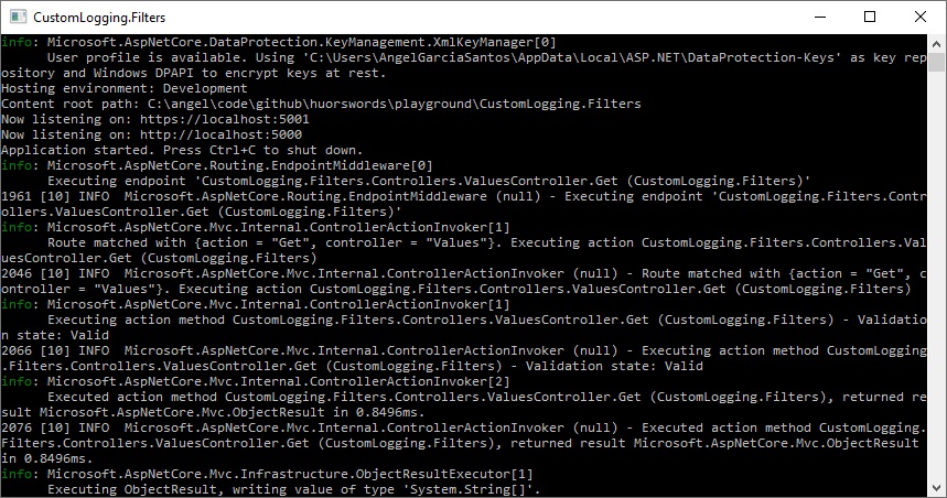 Screenshot de la consola de ejecución de una webapi con la configuración filtrada por Microsoft.AspNetCore.Hosting